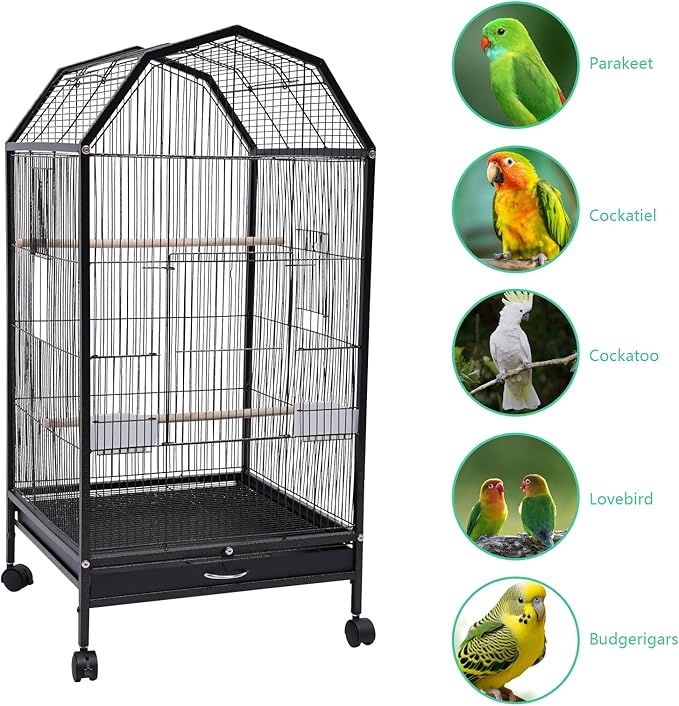 40 Inch Wrought Iron Bird Cage with Rolling Stand Metal 360 Degree View Spacious Interactive Roof Durable and Rustproof for Parrots Finches Lovebirds Budgie Canaries Macaw