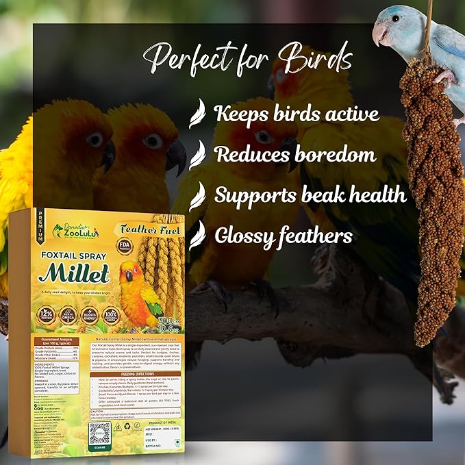 Danodia's Zoolulu Foxtail Spray Millet for Birds 300 g (0.66 lb/ 10.6oz) | All-Natural Sun-Dried Non-GMO Treats | Parakeets, Budgies, Finches, Canaries, Cockatiels & Lovebirds