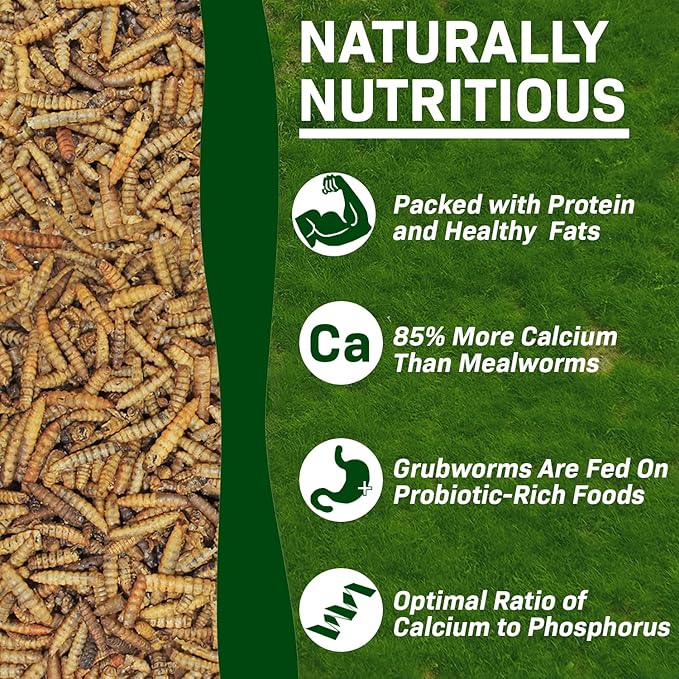 Exotic Nutrition 20 LB Bulk Dried Black Soldier Fly Larvae - High-Calcium Insect Treat - Chickens, Wild Birds, Bluebirds