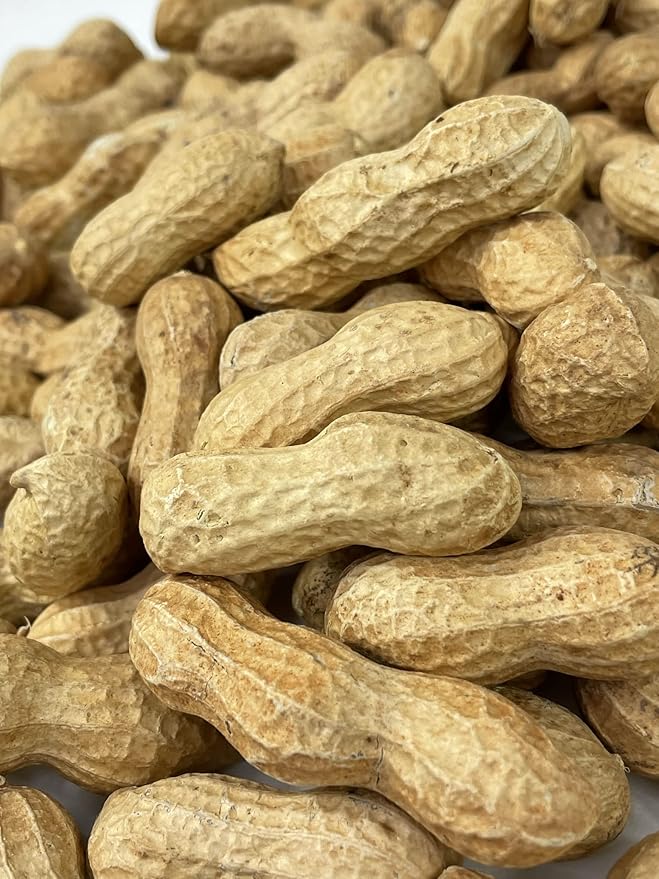 Premium Raw Peanuts in Shell for Animal Feed - 10LB