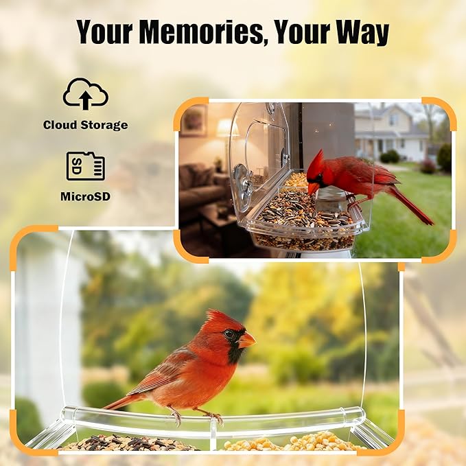 Smart Window Bird Feeder with 2K Camera & AI Identification, Strong Suction Cup Mount, All-Weather Design, Real-Time Alerts, Easy to Install, for Apartments & Homes, for Bird Lovers