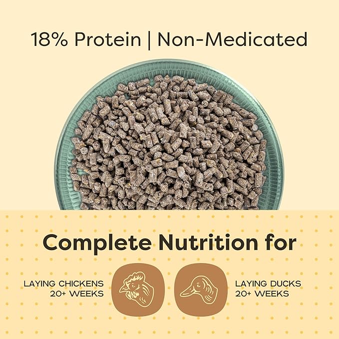 Scratch and Peck Feeds Organic Layer Pellets 18% - 25-lbs (2-Pack) - Premium Chicken and Duck Feed Formulated with Sustainable Grub Protein, Vitamins, and Minerals