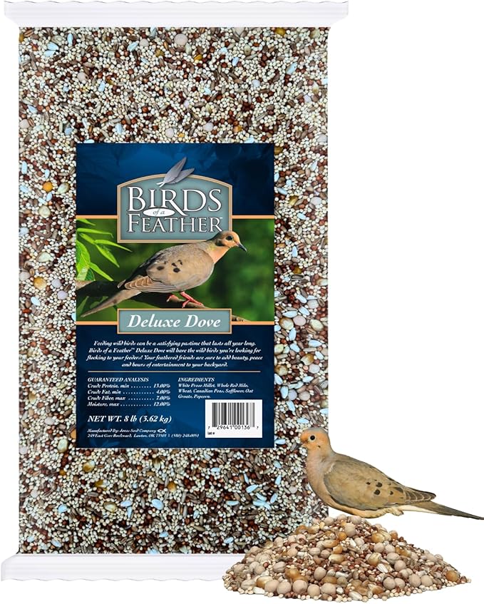 Brooks Brand Birds of a Feather Deluxe Dove Food, Pigeon Food, Mourning Dove Outdoor Bird Seed, Dove Bird Seed, Comida para Palomas, Made in USA, 8 lbs