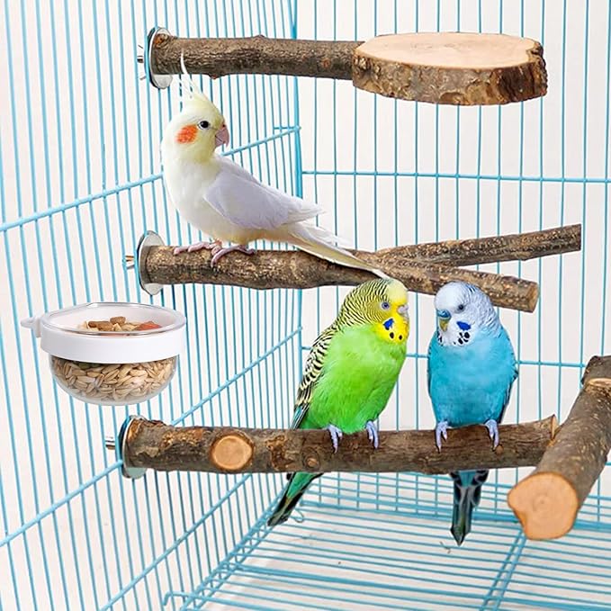 6 Pack Detachable Transparent Bowls Convenient Hanging Seed Water Feeder Bird Food Bowl Plastic Cage Feeder Cups for Parakeet Small Size Birds