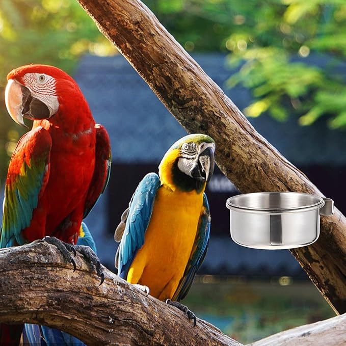 Stainless Steel Parrot Feed Cup Bird Food Bowl with Brackets 4-Pack for Cage Feeding Parakeet Cockatiel Conure Budgie 4.92X3.93X3.54In