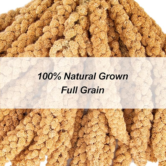 Amzey 5.5LB Spray Millet for Parakeets, 100% Natural Sun-Dried Healthy Bird Treat, Non-GMO High Protein Fresh Millet Spray for Parrots, Cockatiel, Finches & Lovebirds