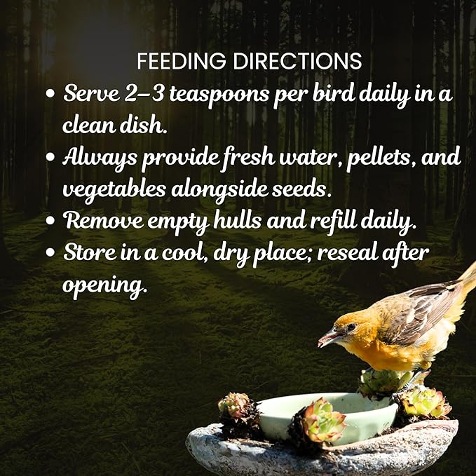 Danodia's Zoolulu Budgies & Finches Millet Mix (450g /1lbs) | Bird Seed Blend for Budgies, Finches & Canaries | Daily Healthy Nutrition