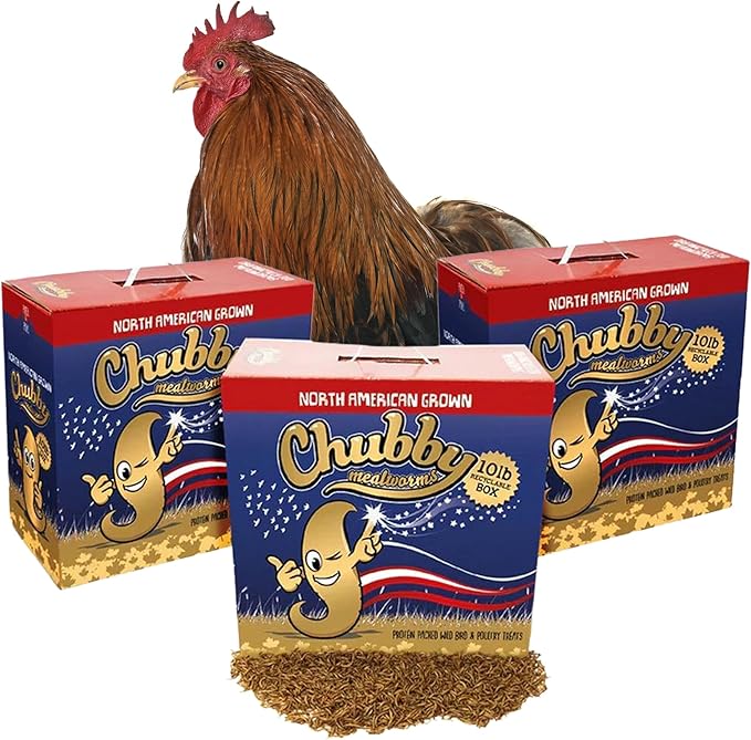 Chubby North American Grown Dried Mealworms | 30 lbs | Non-GMO High-Protein Treats for Chickens, Ducks & Wild Birds – Sustainable Chicken Feed
