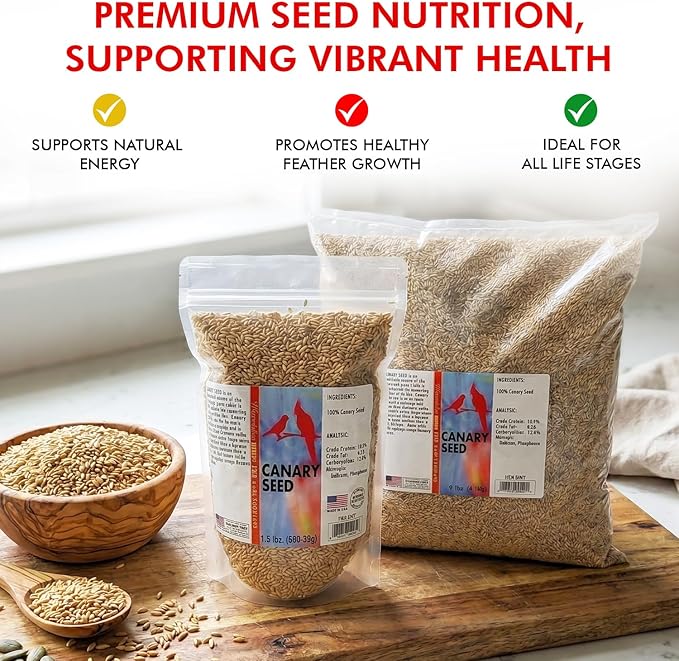 Morning Bird Canary Seed 4.5 lbs (3-Pack, 1.5 lbs Each), Nutrient-Rich Bird Seed, Creamy Golden Grain Powerhouse - Supports Healthy Feathers & Strong Bones – Natural Daily Nutrition for All Bird Types