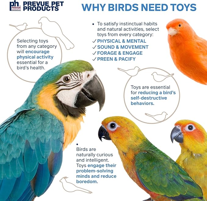 Prevue Pet Products Loops 'n Rings Playfuls Physical & Mental Bird Toy - Accessories for Parrots, Conures, African Greys, Amazons, and Medium to Large Birds, Hanging Cage Toy for Shredding & Chewing
