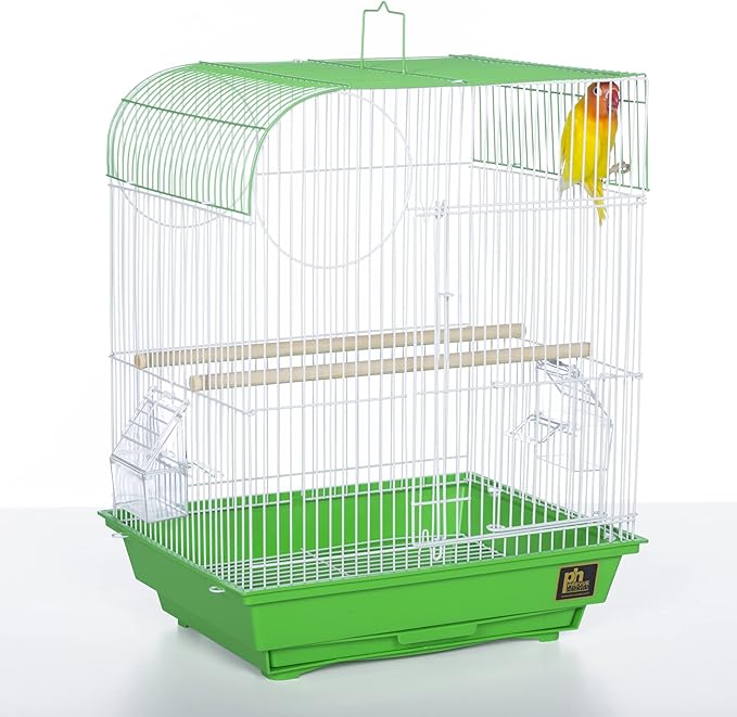 Prevue Pet Products South Beach Flat Top Bird Cage - Ideal for Finches, Canaries, Budgies, and Similarly Sized Birds, Minimal Assembly, Made of Powder-Coated Steel Wire Mesh - Green & White