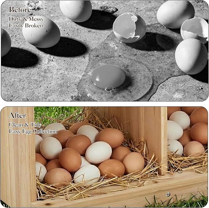 Wooden Chicken Nesting Box, Double-Deck with 4 Compartments, Wall-Mounted or Ground-Placed Nesting Box for Hens with Egg-Roll-Proof Design, Egg Collection Design, Perch, Natural Wood, Sun-Proof