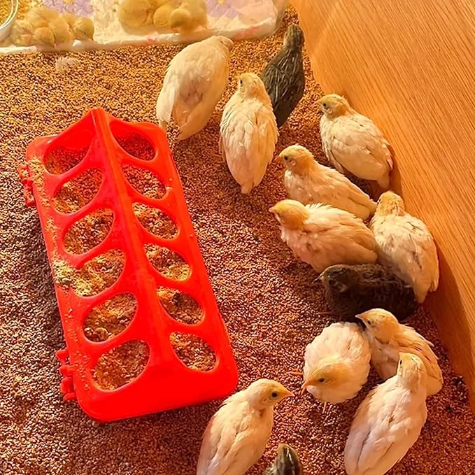 2 Pack Plastic Flip-Top Poultry Feeder Tray, Chick Feeding Trough for Baby Chicken, Ducklings, Quail, Pigeons and Small Birds – Spill-Resistant Farm Feeder