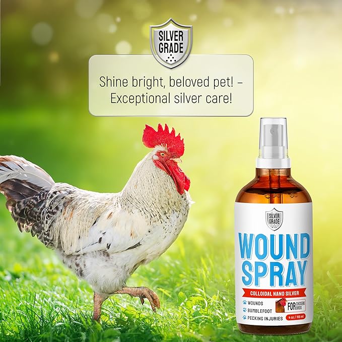 SILVER GRADE Wound Spray for Chicken – Birds & Chicken Antibiotics Alternative to Help with Pecking Sores, Bumblefoot, Cuts – Poultry Spray with Silver – GMOs Free – 4-Oz Bottle