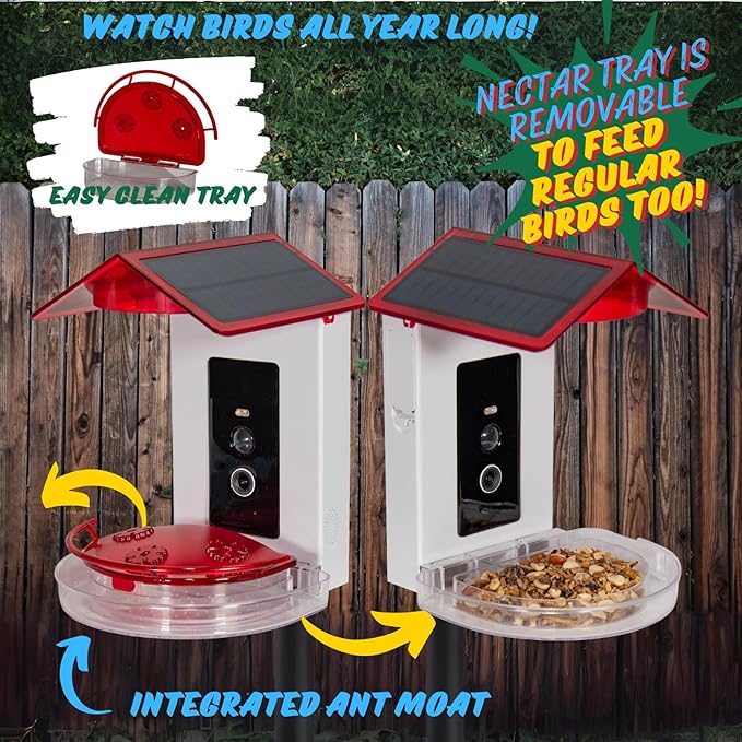 JCS Wildlife Smart 2-in-1 Hummingbird Feeder with Camera, Solar Roof, AI Bird Identification, 1080 HD Live Video, Automatically Capture Videos and Images, Great Gift for Birders