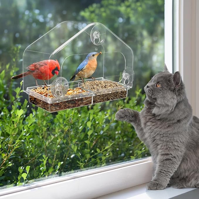 Outdoor Window Bird Feeder for Cats Viewing - Clear Bird Feeder with Strong Suction Cup, Cat Perch Accessories for Entertaining Watching, L