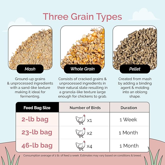Mile Four Organic Chicken Feed (46 lbs) Layer Whole Grain, Non-GMO, USA Grown, 16% Protein, Corn-Free, Soy-Free, Non-Medicated Feed for Chickens