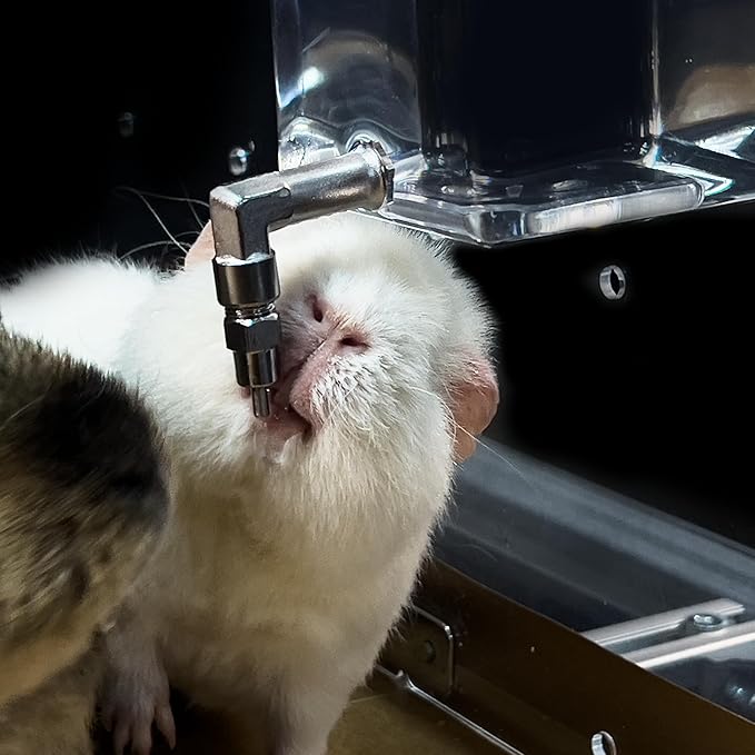 GuineaLoft™ Clear View Water Bottle - for Guinea Pigs & Birds, the Ultimate Solution by Seasoned Owners Who Tried Everything Out There