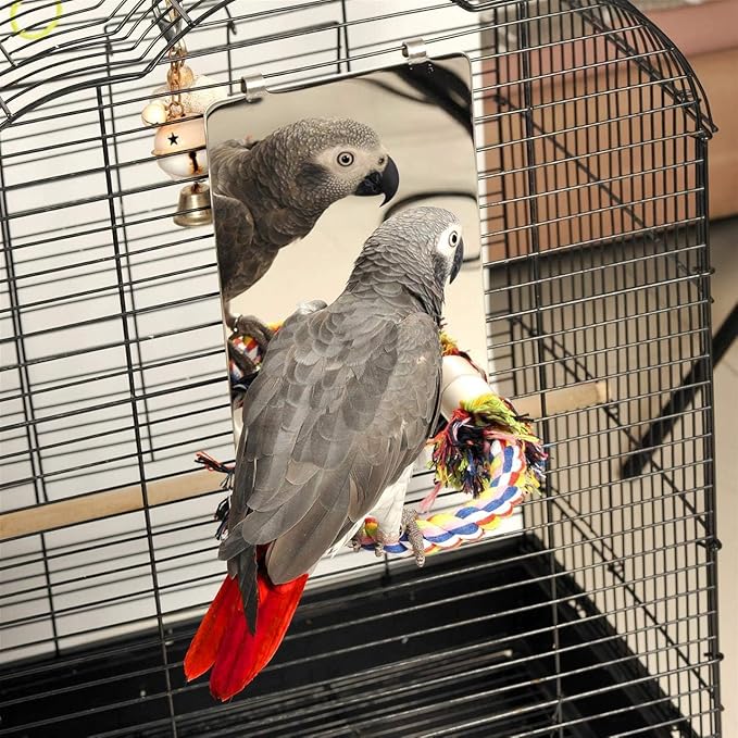 Colorday 9" Bird Mirror for cage with Rope Perch, Bird Swing, Parrot Cage Toy for Parakeet Budgie African Grey Conure Cockatiel Lovebird Finch Canarie, Large