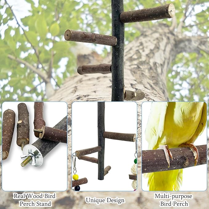 Hamiledyi Bird Perch Stand Toy, Natural Wood Bird Perch Stand Birds Perch Toys with Rotating Balls Parakeet Toys for Parakeets Cockatiels Conures Budgies Finches Love Birds