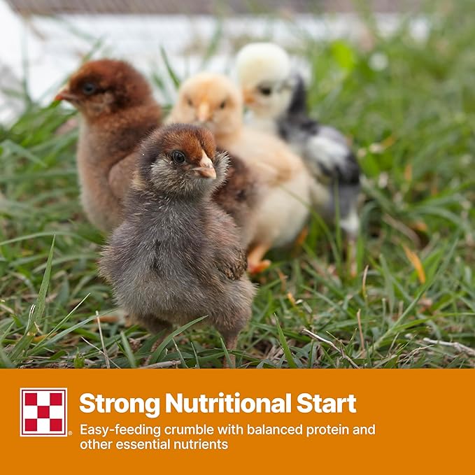 Purina Start and Grow | Non-Medicated Chick Feed Crumbles | Nutritionally Complete - 25 Pound (25 lb.) Bag