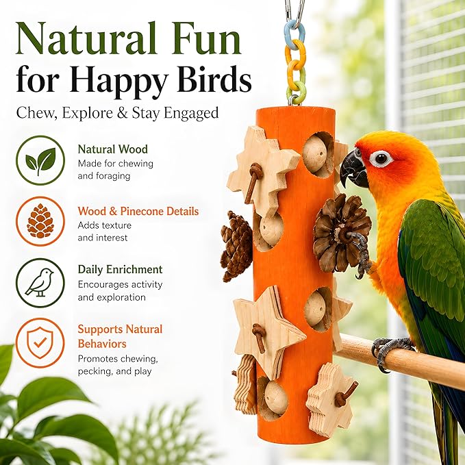 Bird Foraging Toy Parakeet Enrichment Puzzle Parrot Foraging Toys Wooden Blocks with Pine Cones Chew Play for Budgies Cockatiels Conures Quaker Small to Medium Birds
