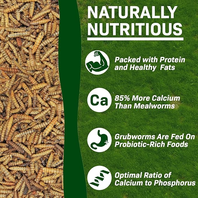 Exotic Nutrition 80 LB Bulk Dried Black Soldier Fly Larvae - High-Calcium Insect Treat - Chickens, Wild Birds, Bluebirds