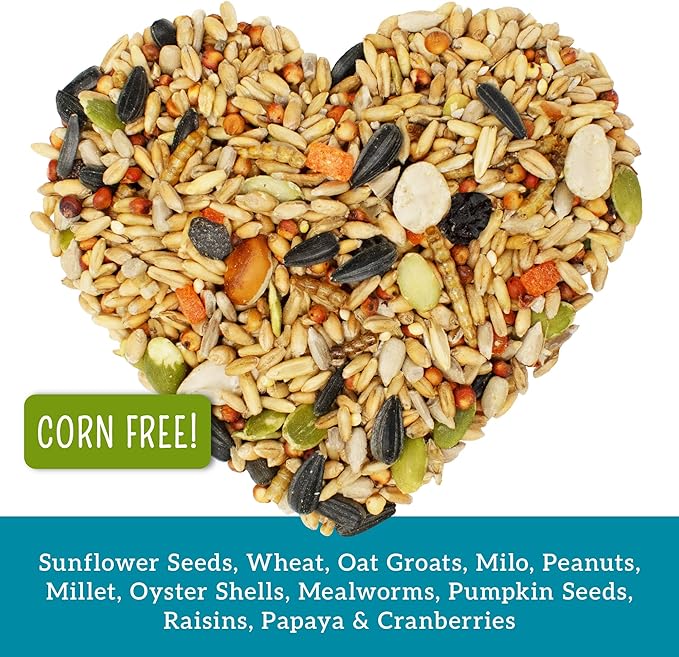 Love My Girls: Chicken Snacks - Fruit & Worms - 5lb Bag - Global Harvest, Gourmet Multi-Grain Treats, Corn-Free, Nutritious & Protein Rich Mealworms