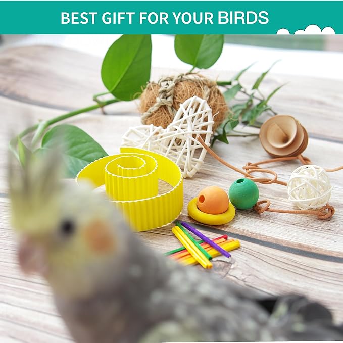 Bird Toys - Natural Foraging & Shredding Box for Parrots | Colorful Chew Toy | Ideal for Cockatiels, Conures, Lovebirds & Small Medium Birds