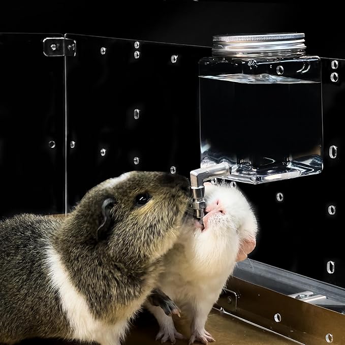 GuineaLoft™ Clear View Water Bottle - for Guinea Pigs & Birds, the Ultimate Solution by Seasoned Owners Who Tried Everything Out There