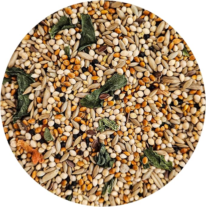Finch Bird Food, 4 lbs Bag - Seed Mix for Finches