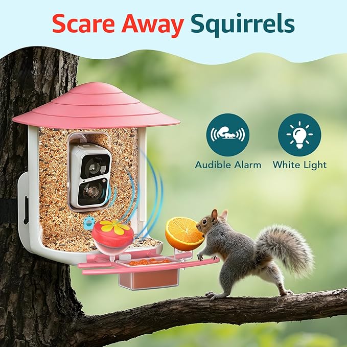 birdsnap® TUC Bird Feeder with Camera 2K HD Live with 32GB Card Auto Detect & Notify AI Identify Camera Birds Feeders Solar Powered Wireless Outdoors Backyard Gift for Mom Dad Birds Lover, 2.4G WiFi