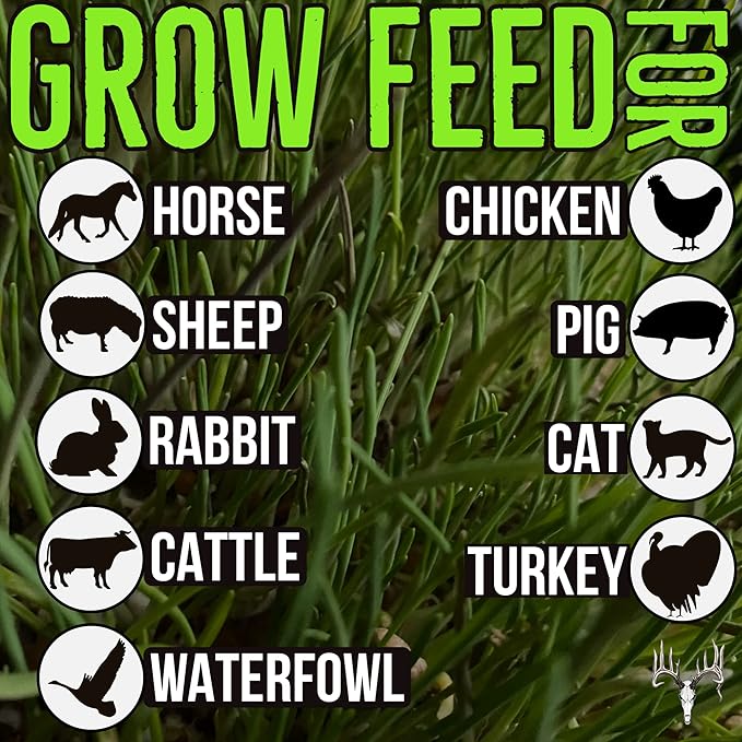 Crooked Bend Mother Fodder Blend, 12LB EcoPack, Grain Seeds for Bird Food & Growing Fresh Green Grass Sprouts to Feed Pet Rabbits, Cows, Horse, Chicken, Goat, Sheep, Quail, Dog, Cat, Duck & Tortoise