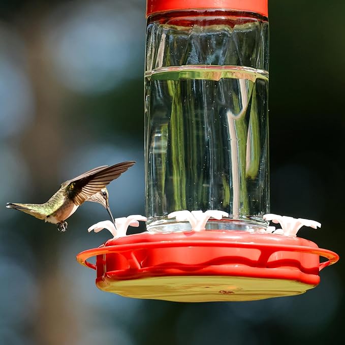 Nature's Way Hanging Glass Hummingbird Feeder for Outdoor Décor, 20 Ounce Capacity Nectar Feeder, Ant Moat, 5 Easy to Clean Flexible Ports, Red