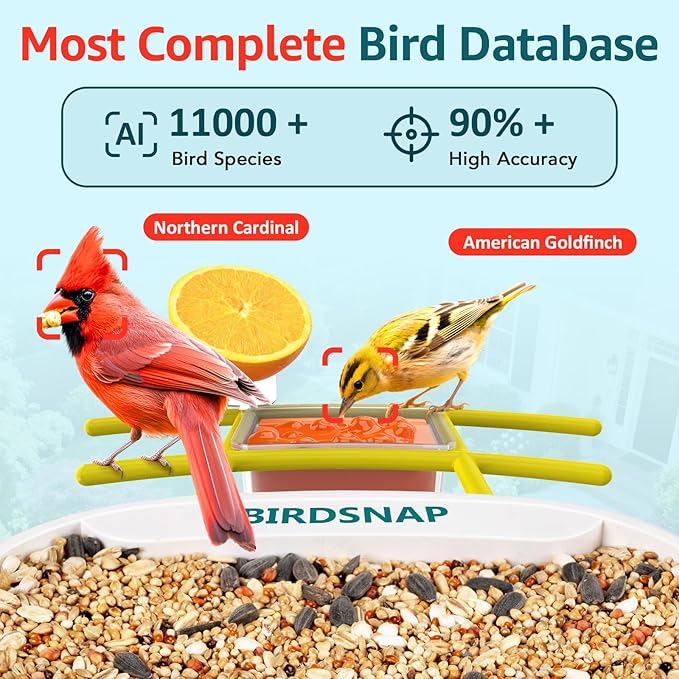 birdsnap® TUC Bird Feeder with Camera 2K HD Live with 32GB Card Auto Detect & Notify AI Identify Camera Birds Feeders Solar Powered Wireless Outdoors Backyard Gift for Mom Dad Birds Lover, 2.4G WiFi
