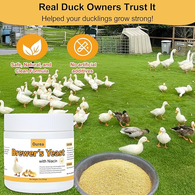Brewer’s Yeast for Ducks with Niacin, Duck Vitamin B Complex Supplement to Supports Immunity Molt Recovery Severe Stress, Growth & Digestion, Niacin-Rich Powder for Healthy Legs Bones 7oz