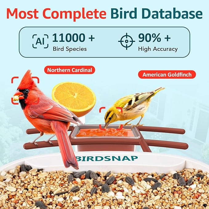 birdsnap® TUC Bird Feeder with Camera 2K HD Live with 32GB Card Auto Detect & Notify AI Identify Camera Birds Feeders Solar Powered Wireless Outdoors Backyard Gift for Mom Dad Birds Lover, 2.4G WiFi