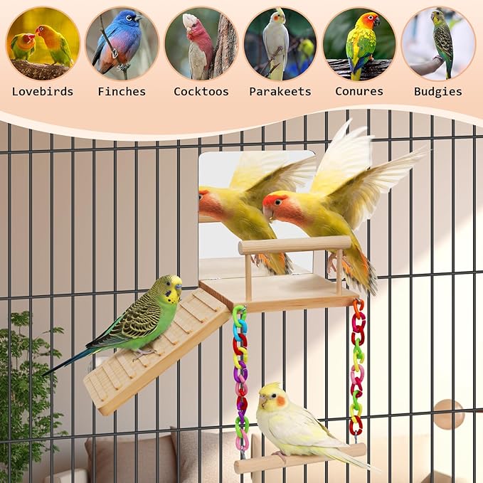Bird Perches Platform Swing with Bird Mirror Climbing Ladder Birds Toys Cage Accessories for Cockatiels, Lovebirds, Pacific Parrotlets,Chinchilla, Hamster Play Gym Exercise Stand (with Mirror)