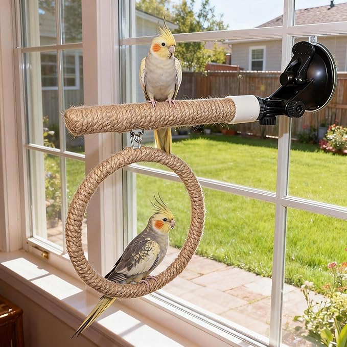 Natural Flax Bird Perch Stand with Strong Suction Cups | Movable Parrot Training Perch for Window/Mirror/Car/Tiles | Universal for Budgie, Cockatiel, Conure (Perch Stand with Swing)