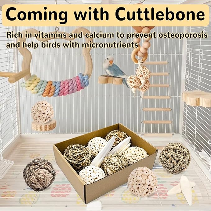 10PCS Bird Toys Sola Balls 2.36IN Parakeet Toys 2.76IN Natural Chew Grass Balls with Cuttlebone for Parrots Conures Rabbits Hamster Guinea Pig Chinchilla (Style 1)