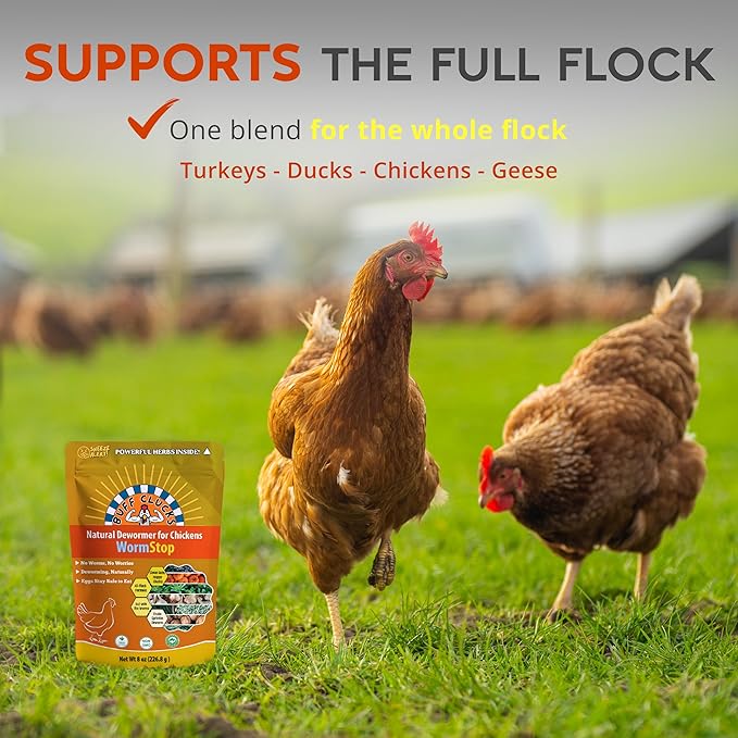 Buff Clucks WormStop Natural Chicken Dewormer Powder – All-Natural Herbal Blend for Daily Wellness - Chicken Wormer is Safe for Eggs & All Ages - Garlic, Pumpkin Seed, Wormwood - USA (8 oz)