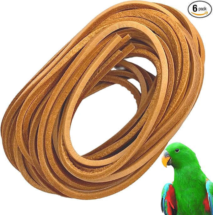 Bonka Bird Toys 2003 Six Pack Leather 48 Inches Long X 1/8 Inch Cord Genuine Natural Leather Lace Strip Craft Part Bird Toy Making Projects Roll Rope Tan Hide