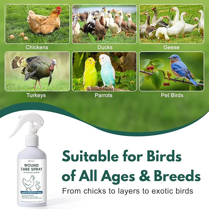 Wound Spray for Chickens and Birds, Poultry Care Spray for Pecking Sores, Bumblefoot, Vent Prolapse, Cuts, Burns & Skin Irritations, Safe for Egg-Laying Hens, Natural Herbal Formula, 8.45 Fl Oz