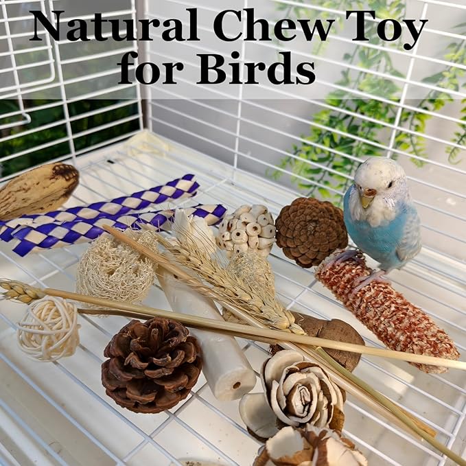 Bird Foraging Toys Parrot Chew Shredding Toys Bird Foraging Box for Parakeets Cockatiels Conures Lovebirds and Small to Medium Birds (Burlywood)