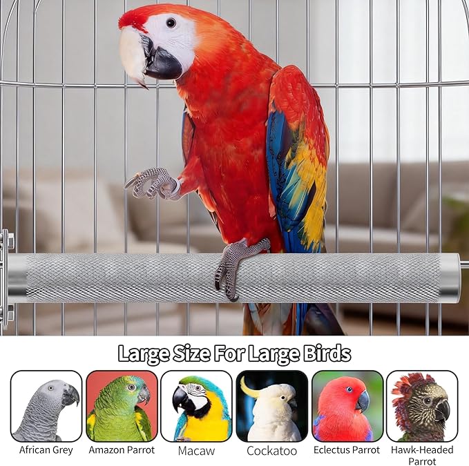AOTU Large Bird Perch Stainless Steel Parrot Perches Bird Stand for Cage Durable Beak & Claw Trimming Grinding Perch for Birds Parrot Cage Accessory (S: 7.8″ x 1″)
