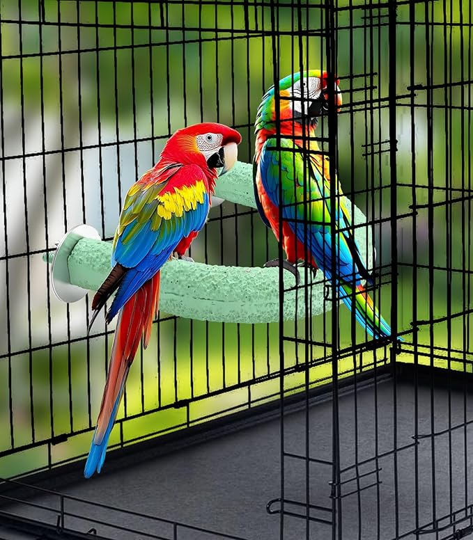 U Shape Parrot Perch Cage for 4cm Large Pad Fits Horizontal Vertical Bars Washable Bird perches Washable Colorfast Resin Perch for Budgies, Cockatiels to Trim Nails Beak Naturally (Green)