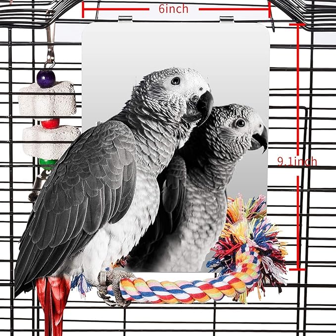 Colorday 9" Bird Mirror for cage with Rope Perch, Bird Swing, Parrot Cage Toy for Parakeet Budgie African Grey Conure Cockatiel Lovebird Finch Canarie, Large