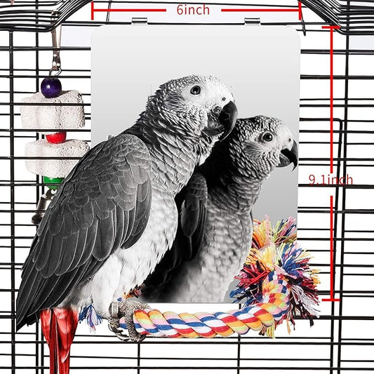 Colorday 9" Bird Mirror for cage with Rope Perch, Bird Swing, Parrot Cage Toy for Parakeet Budgie African Grey Conure Cockatiel Lovebird Finch Canarie, Large