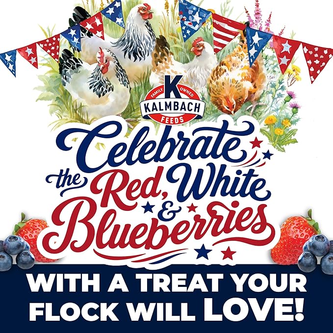 KALMBACH Feeds Henhouse Reserve Summer Berry Treat Block for Chickens, 20-LB Block