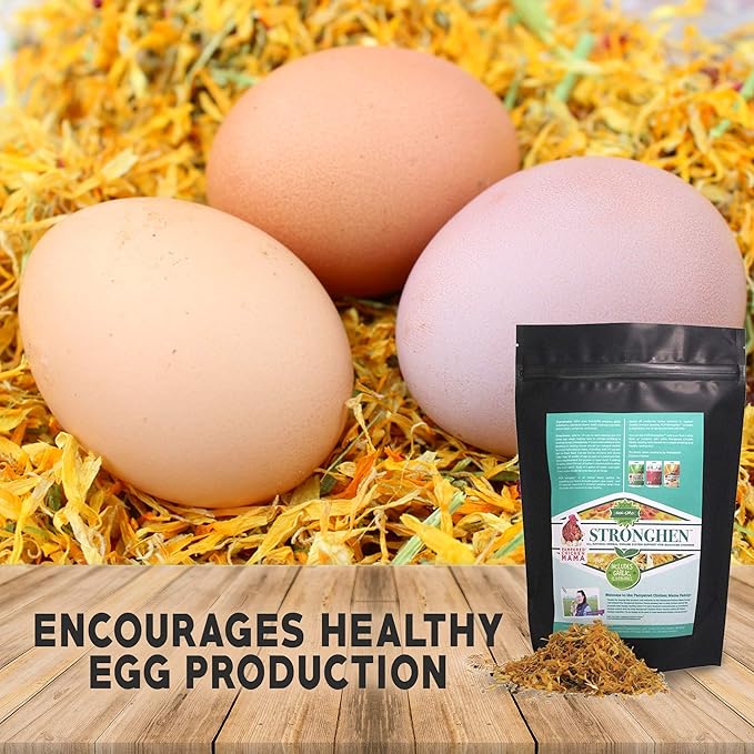 Backyard Chicken Nesting Herbs All Natural Feeding Supplement to Support Healthy Immune Systems (StrongHen) (10 Ounces)